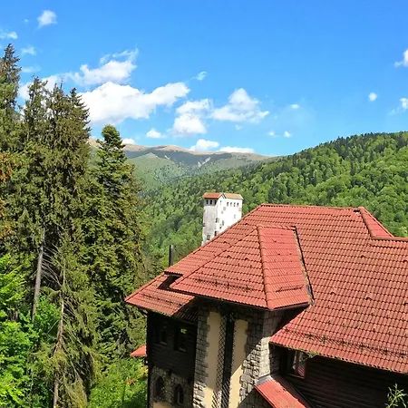 Casa Adina Guest house Sinaia