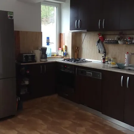 Casa Adina Guest house Sinaia