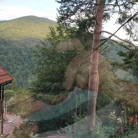 Casa Adina Sinaia