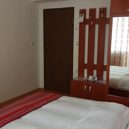 Casa Adina Guest house Sinaia