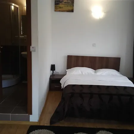 Guest house Casa Adina Sinaia